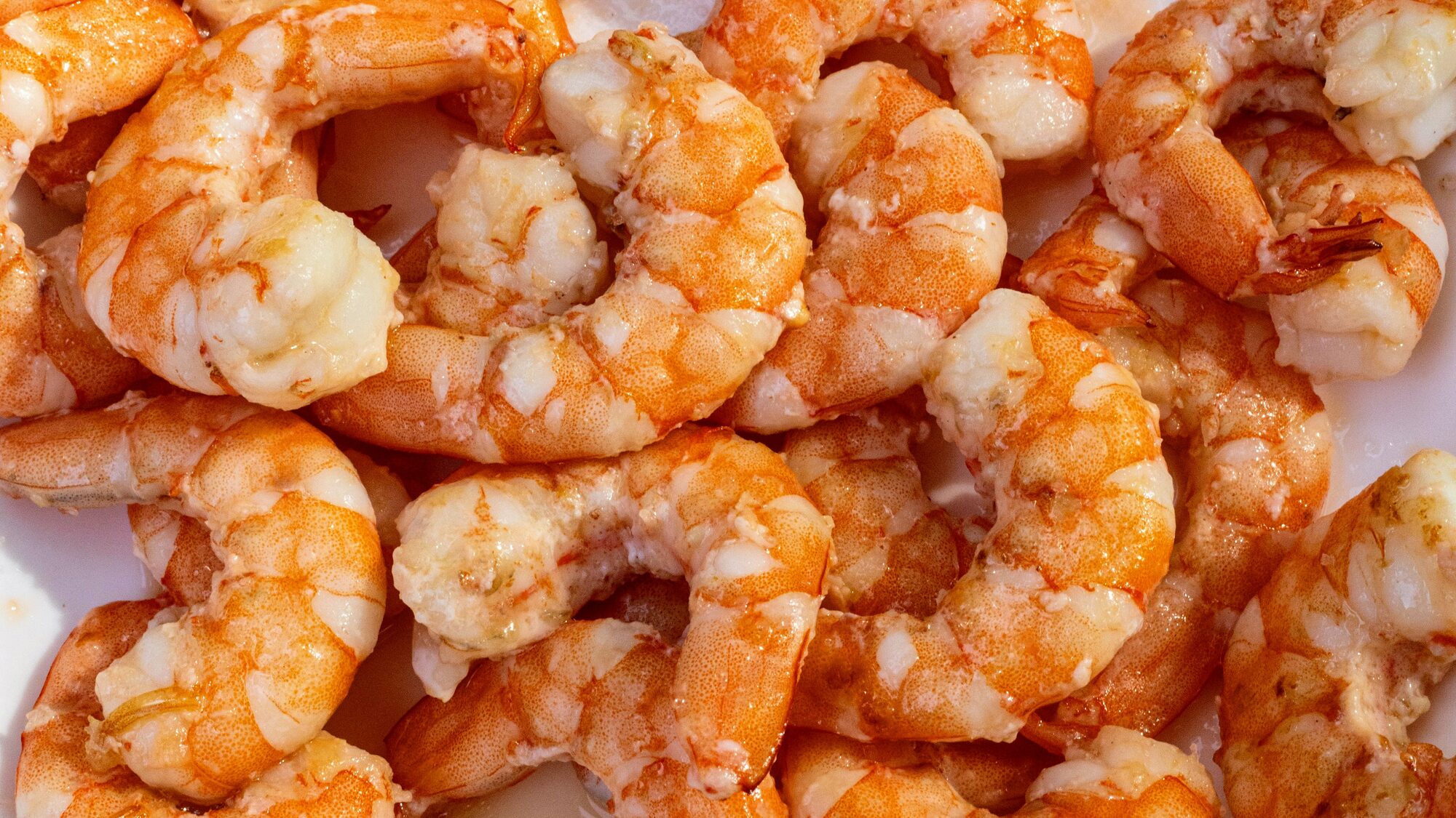 Fresh Midland shrimp, cooked and ready to serve